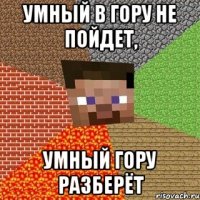 умный в гору не пойдет, умный гору разберёт