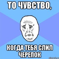 то чувство, когда тебя слил черепок