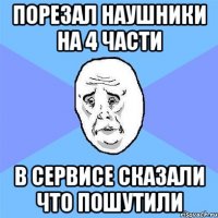 порезал наушники на 4 части в сервисе сказали что пошутили