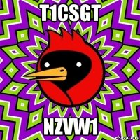 t1csgt nzvw1