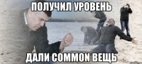 получил уровень дали common вещь