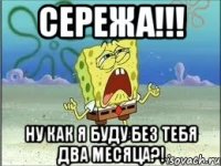 сережа!!! ну как я буду без тебя два месяца?!