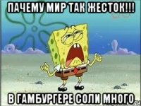 пачему мир так жесток!!! в гамбургере соли много