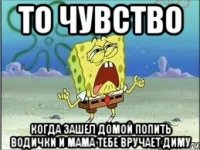 то чувство когда зашел домой попить водички и мама тебе вручает диму