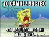 то самое чувство что прошел уже один месяц лета..