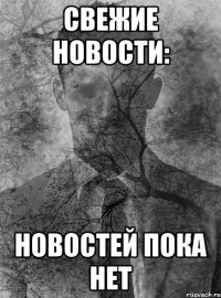 свежие новости: новостей пока нет