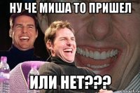 ну че миша то пришел или нет???