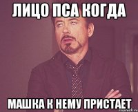 лицо пса когда машка к нему пристает