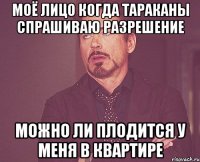 моё лицо когда тараканы спрашиваю разрешение можно ли плодится у меня в квартире