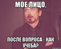 мое лицо, после вопроса - как учеба?