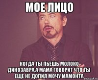 мое лицо когда ты пьешь молоко динозавра,а мама говорит что ты еще не допил мочу мамонта