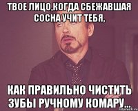 твое лицо,когда сбежавшая сосна учит тебя, как правильно чистить зубы ручному комару...