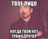 твое лицо когда твой кот графодрочер