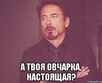  а твоя овчарка, настоящая?