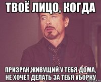 твоё лицо, когда призрак,живущий у тебя дома, не хочет делать за тебя уборку