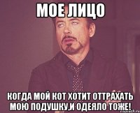 мое лицо когда мой кот хотит оттрахать мою подушку,и одеяло тоже!