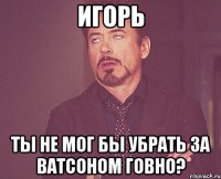 игорь ты не мог бы убрать за ватсоном говно?