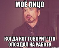 моё лицо когда кот говорит что опоздал на работу