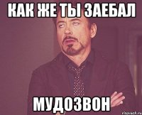 как же ты заебал мудозвон