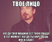 твое лицо когда твоя машина ест твою пиццу в тот момент, когда ты нарезаешь мух в салат