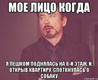 мое лицо когда я пешком поднялась на 8-й этаж, и, открыв квартиру, споткнулась о собаку