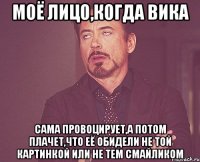 моё лицо,когда вика сама провоцирует,а потом плачет,что её обидели не той картинкой или не тем смайликом