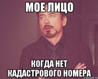 мое лицо когда нет кадастрового номера