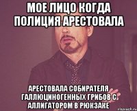 мое лицо когда полиция арестовала арестовала собирателя галлюциногенных грибов с аллигатором в рюкзаке