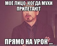 моё лицо, когда мухи прилетают прямо на урок ...