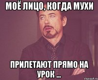 моё лицо, когда мухи прилетают прямо на урок ...