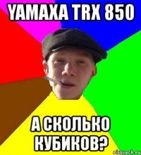 yamaxa trx 850 а сколько кубиков?