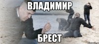 владимир брест