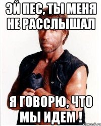 эй пес, ты меня не расслышал я говорю, что мы идем !