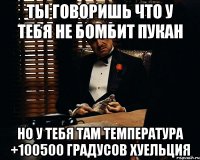 ты говоришь что у тебя не бомбит пукан но у тебя там температура +100500 градусов хуельция