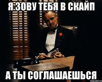 я зову тебя в скайп а ты соглашаешься