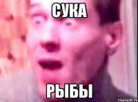 сука рыбы