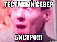 теставый север бистро!!!