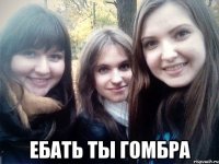  ебать ты гомбра