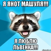 я янот машуля!!! я люблю львенка!!!