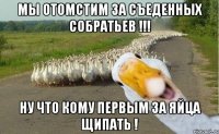 мы отомстим за съеденных собратьев !!! ну что кому первым за яйца щипать !