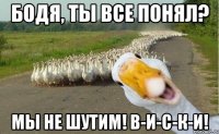 бодя, ты все понял? мы не шутим! в-и-с-к-и!