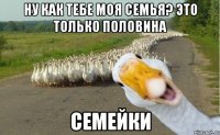 ну как тебе моя семья? это только половина семейки