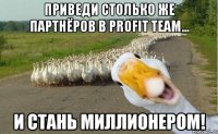 приведи столько же партнёров в profit team... и стань миллионером!