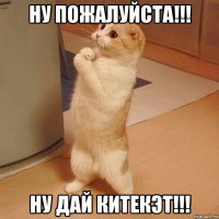 ну пожалуйста!!! ну дай китекэт!!!