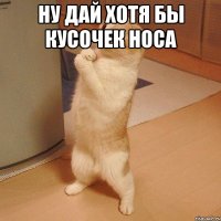 ну дай хотя бы кусочек носа 