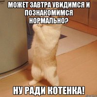 может завтра увидимся и познакомимся нормально? ну ради котенка!