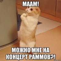 маам! можно мне на концерт раммов?!