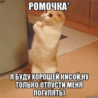 ромочка* я буду хорошей кисой,ну только отпусти меня погулять)