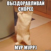 выздоравливай скорее мур мурр)