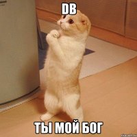 db ты мой бог